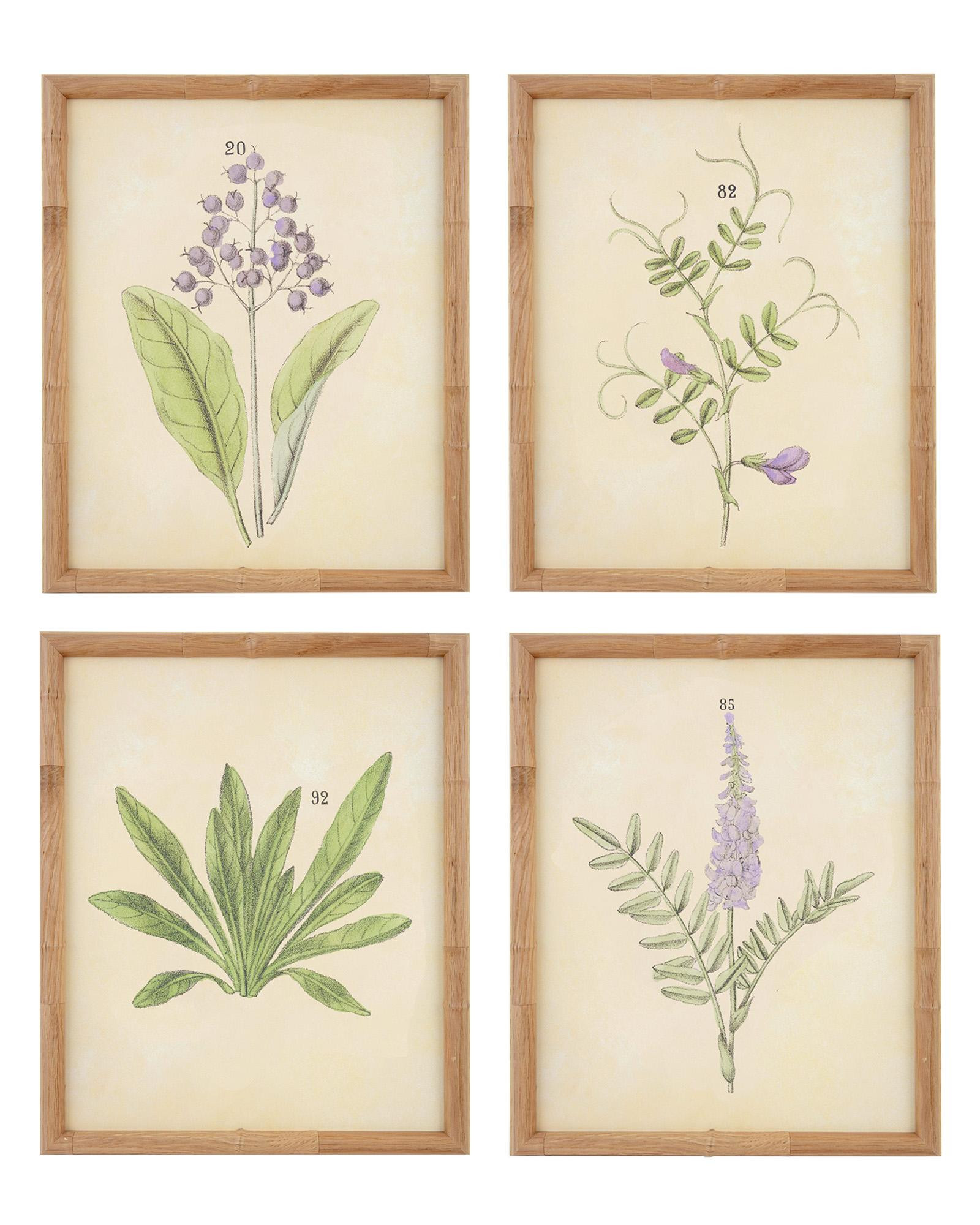 "Herb Series II" by Whalebone Creek | Serena and Lily