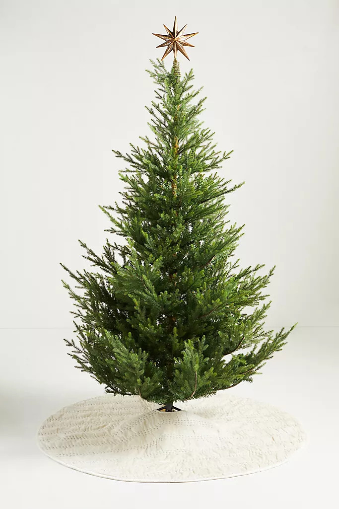 Rory Tree Skirt | Anthropologie (US)