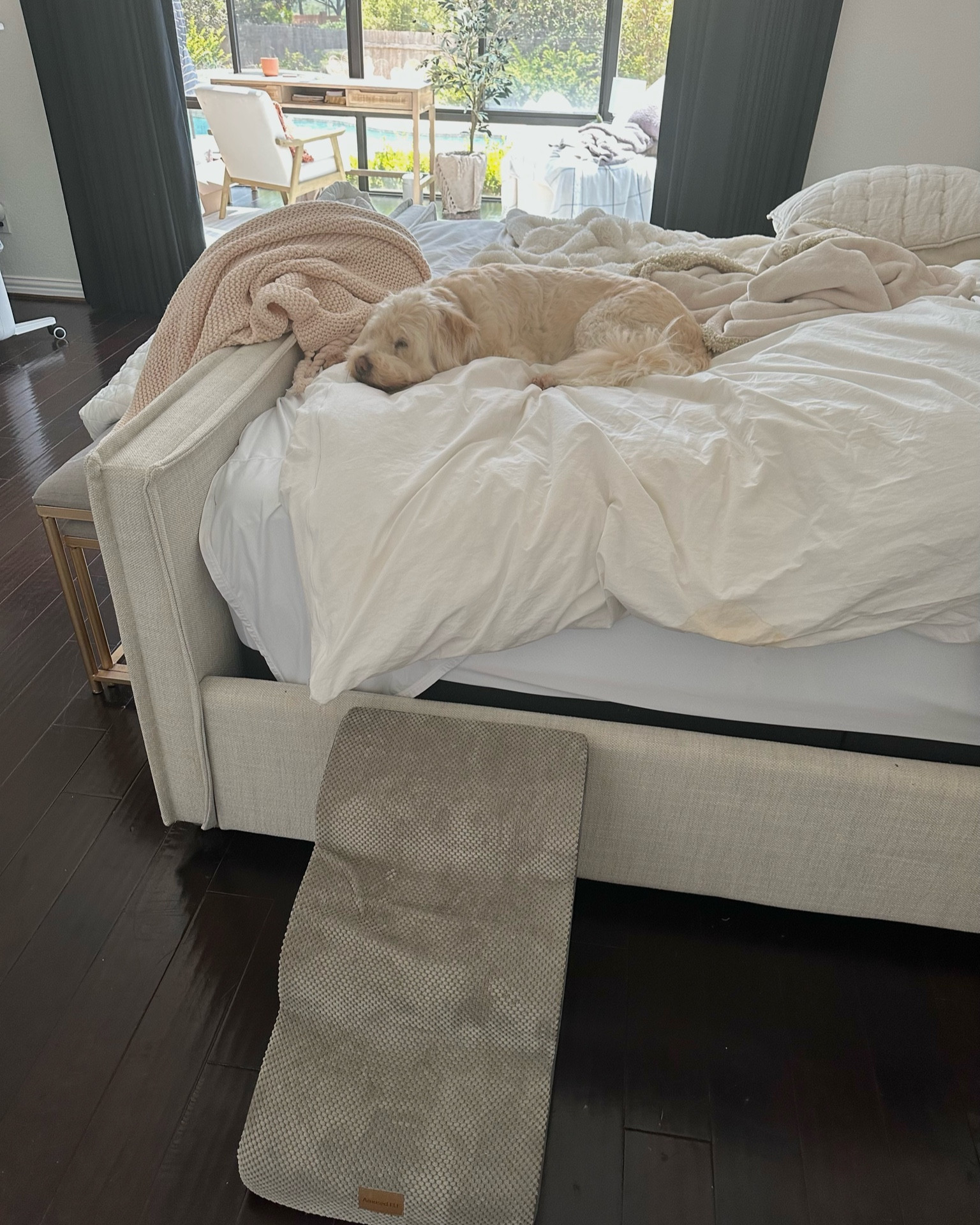 Jack is 13 now and starting to have some hip dysplasia. Along with giving him Dasuquin soft chews I also got him this soft stair ramp to make getting on and off the bed a little easier on. He’s just a good ol’ boy. 

He’s a medium sized dog weighing between 40-50 lbs. and these bedside stairs are the perfect size for him. 

And my daughter just thinks it’s her own personal bed slide. 🐾🫶🏻

Amused ELF Dog Stairs for High Beds; 3 Steps Pet Stairs for Dog Cat; Non-Slip Dog Ramp for Bed Sofa; High-Density Foam Dog Steps with 2 Removable Washable Cover; senior dog; dog life; pets; IrisElizabeth 

#LTKFind #LTKhome #LTKfamily