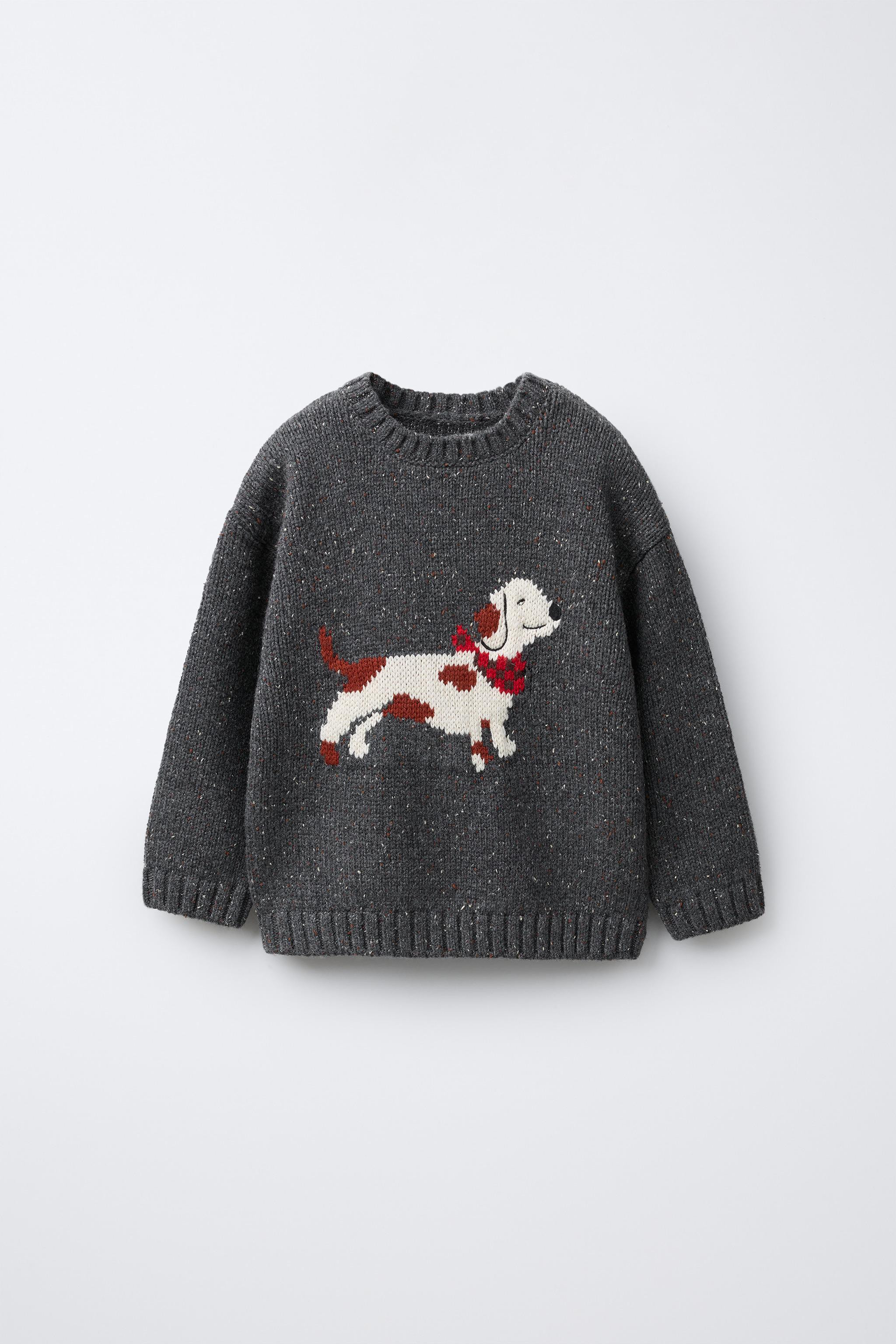DACHSHUND JACQUARD KNIT JUMPER | Zara US