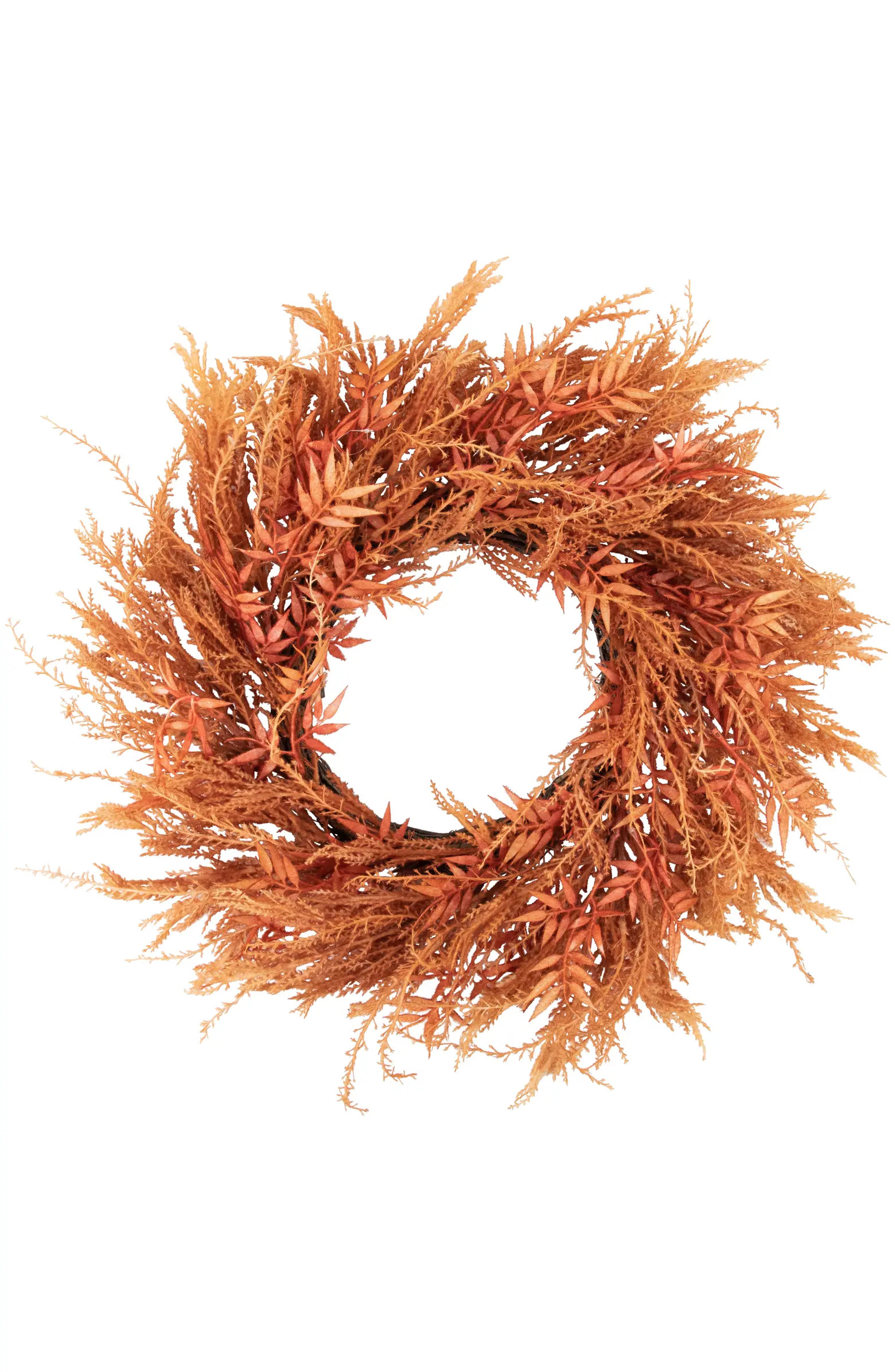 Northlight Peachy Pampas Grass Artificial Fall Harvest Wreath, 24-Inch - Unlit | Nordstrom | Nordstrom