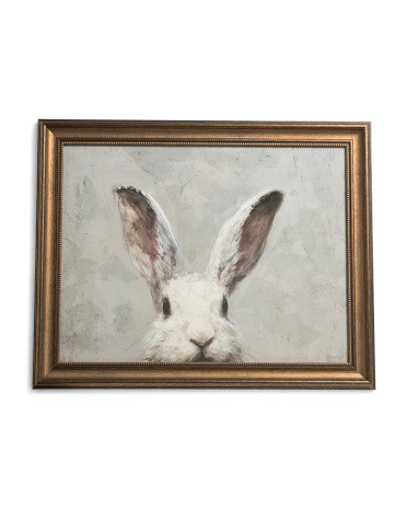25x20 Adorable Rabbit Vintage Frame Wall Art | TJ Maxx