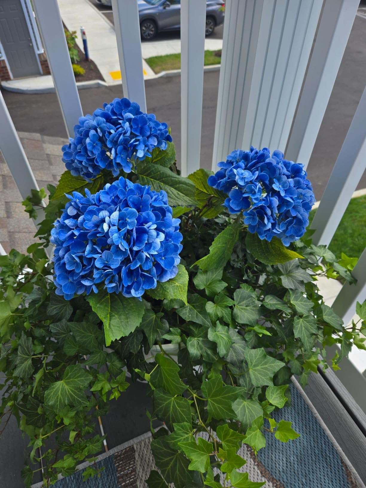 MARTINE MALL 3Pcs 21in Hydrangea Artificial Flowers, Latex Real Touch Hydrangeas Lifelike Large H... | Amazon (US)