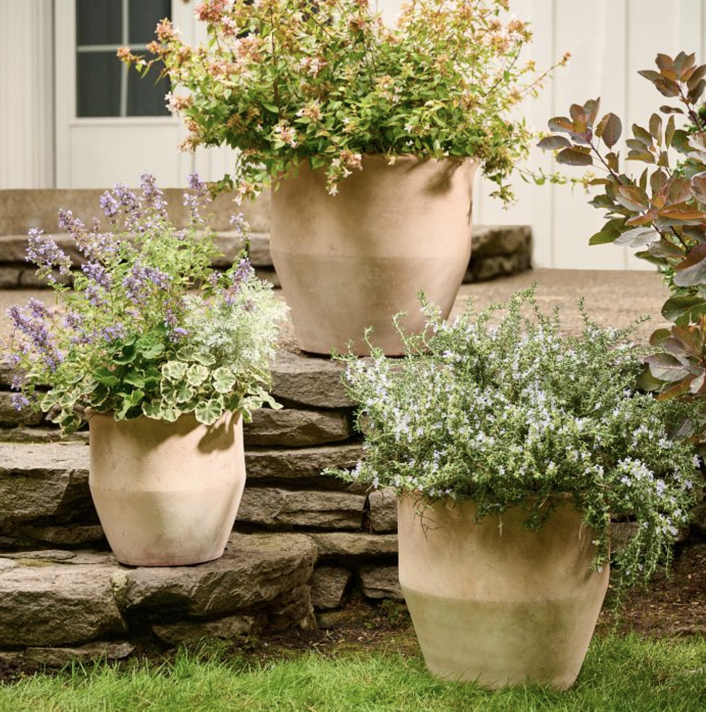 These terracotta planters add character to any garden! I love the vintage look, and have linked these + some of my other fav garden supplies. #planterpot #terracottaplanter #terracottapot #garden #gardening #flowerpot #outdoorplanter #clayplanter #rejuvenation 

 #LTKSeasonal #LTKOver40 #LTKHome