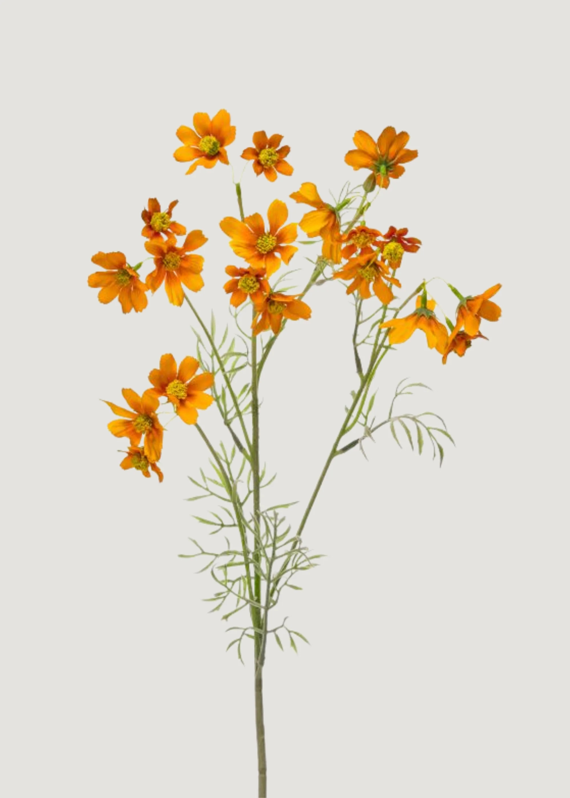 Orange Artificial Meadow Cosmos Wildflower Spray - 31" | Afloral