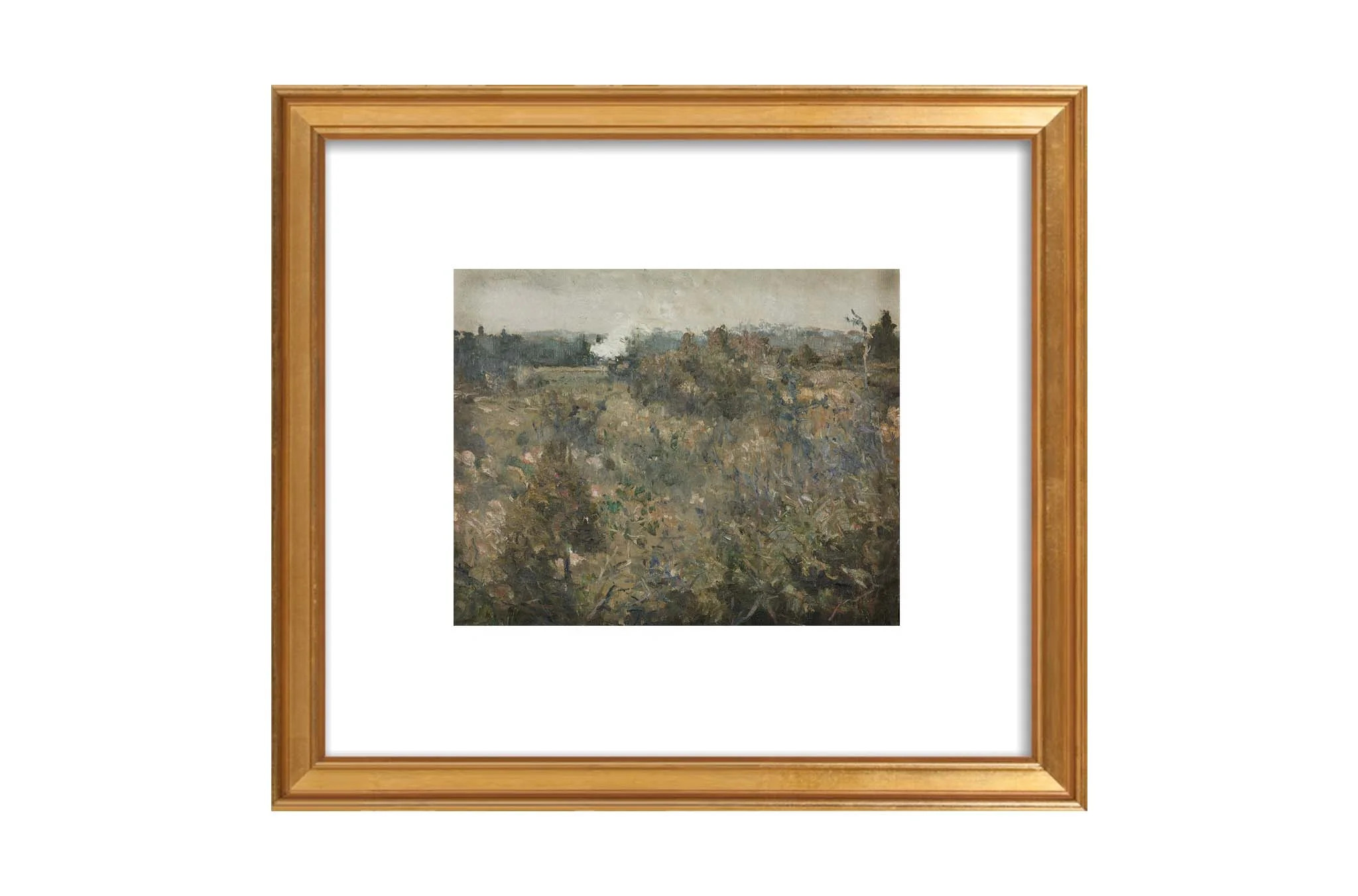 Meadow | North and Finch