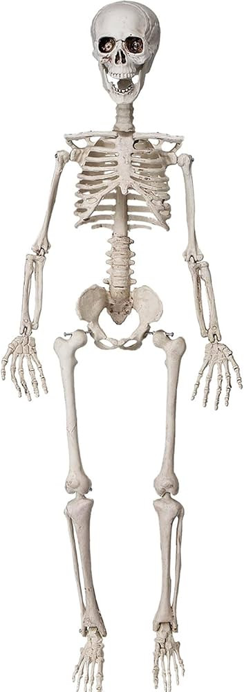 36" Halloween Skeleton Decorations, 3FT Posable Skeleton Decor for Front Lawn, Graveyard Props, H... | Amazon (US)