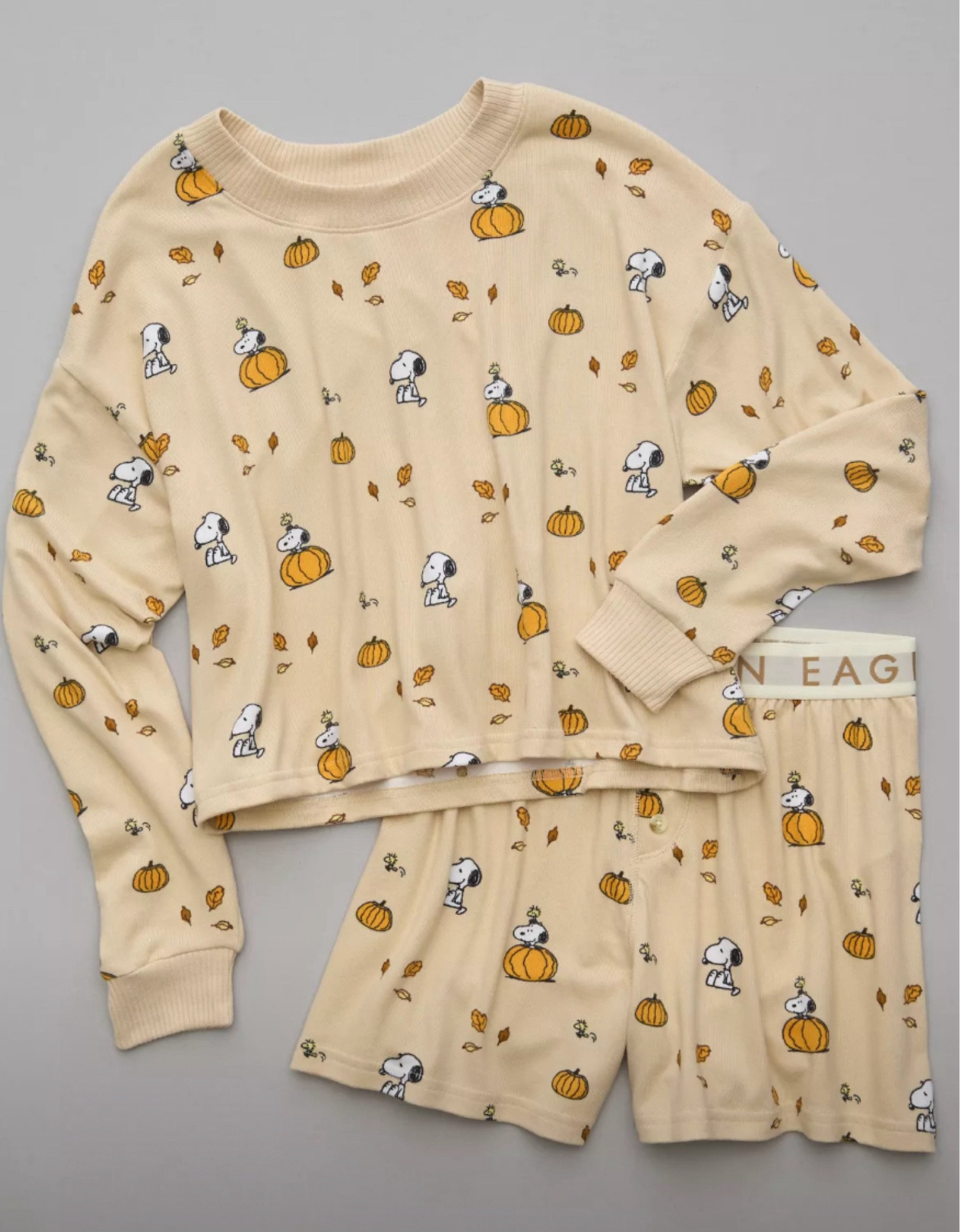 American Eagle Snoopy pajamas restock in all sizes! Run don’t walk, because these sell soooo fast. 

#LTKFindsUnder100 #LTKStyleTip #LTKSeasonal