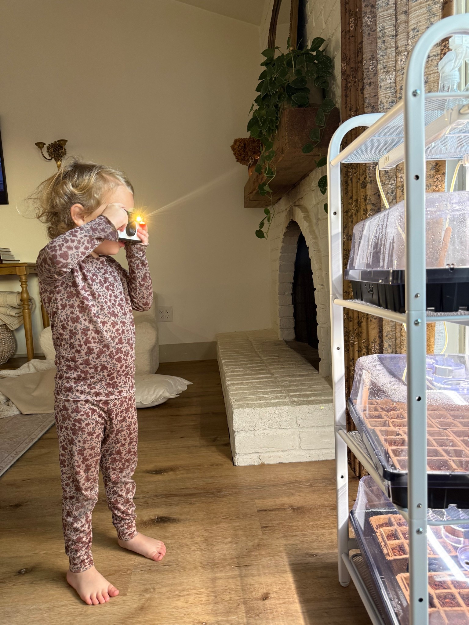 Our garden journey 🍅🥬🫑🥕🫜🥒

Everything that I got to start a garden with our toddler as a beginner. 