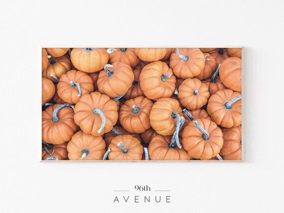 Read the full title
    Thanksgiving Pumpkin Pile | Fall Frame Tv Art | Autumn Photography | Farm... | Etsy (US)