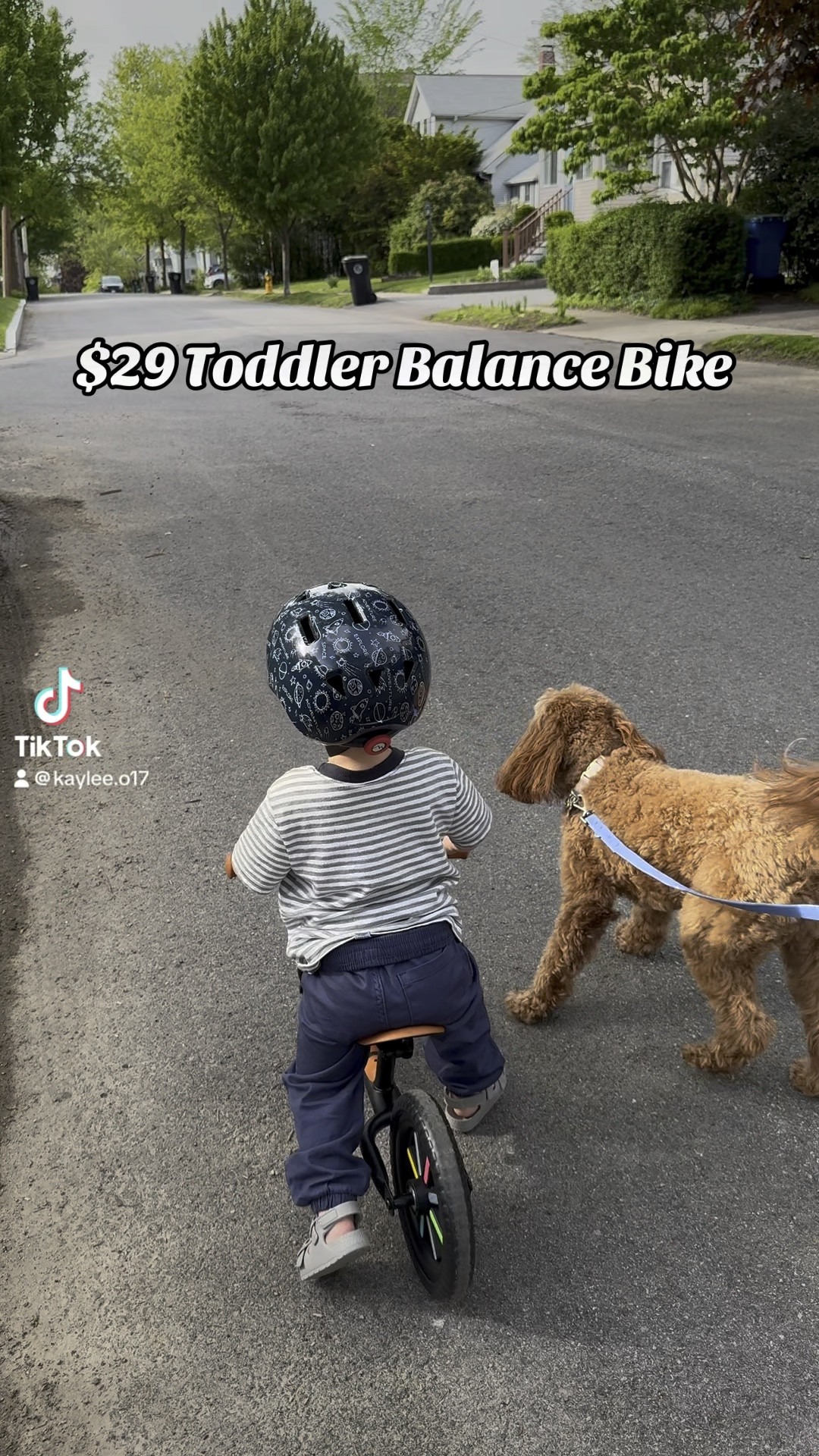 $29 balance bike for the win! #walmartfinds #balancebike #toddler #toddlertoys 

#LTKActive #LTKBaby #LTKKids