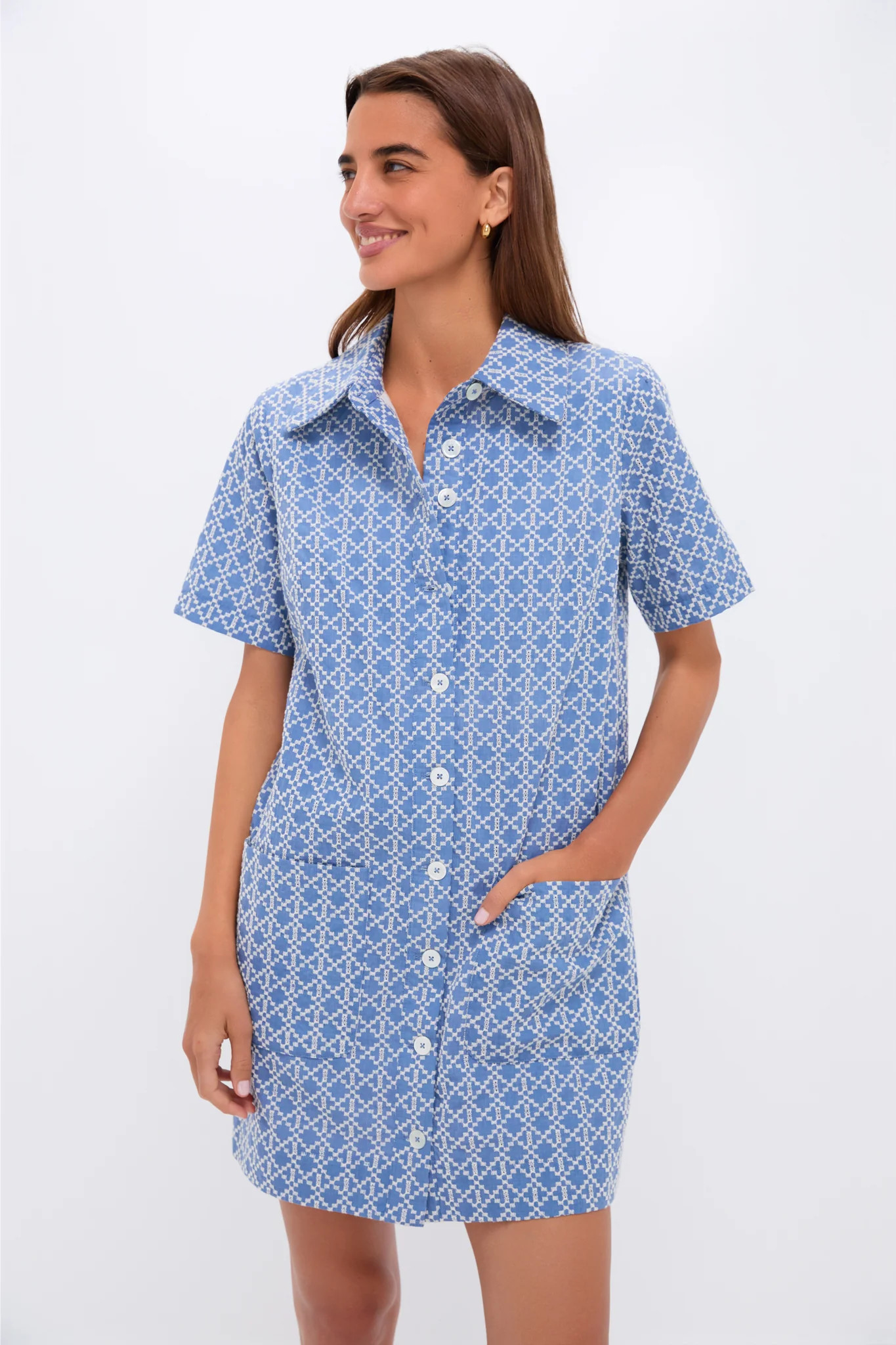 Denim Embroidered Lacie Dress | Tuckernuck (US)