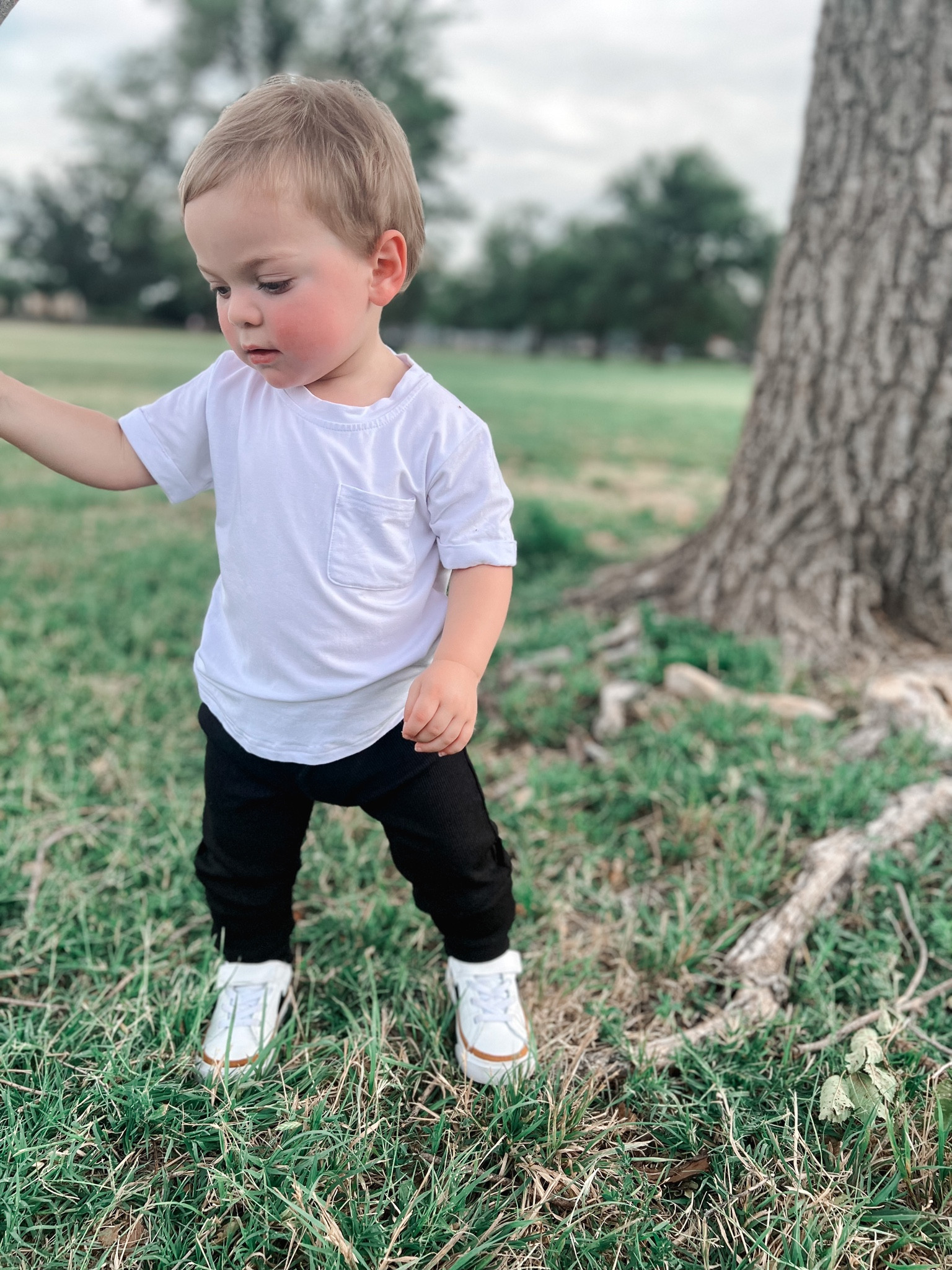NEE ARRIVALS bamboo ribbed leggings and bamboo basic tee 🖤 such a comfortable breathable outfit for your little! 

Bamboo | toddler | baby | basics | cozy | fall fashion | trendy children’s clothing | kids | toddler fashion | play | 

#LTKkids #LTKstyletip #LTKbaby
