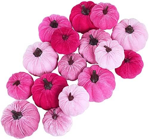 Amazon.com: Set of 16 Faux Assorted Velvet Pumpkins Decorative Pink Fabric Pumpkins Foam Pumpkins... | Amazon (US)