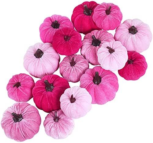 Set of 16 Faux Assorted Velvet Pumpkins Decorative Pink Fabric Pumpkins Foam Pumpkins for Farmhouse  | Amazon (US)