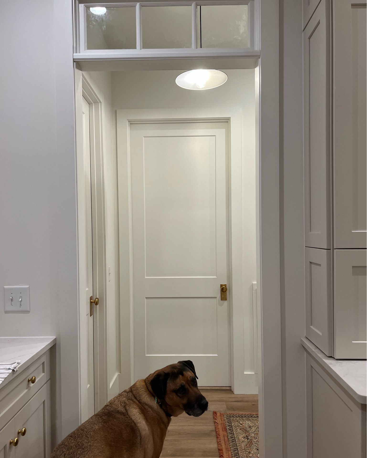 My Benson door knobs in unlacquered brass from Rejuvenation were worth every penny - and Derby agrees! They add so much character to our new build! 

#LTKstyletip #LTKhome