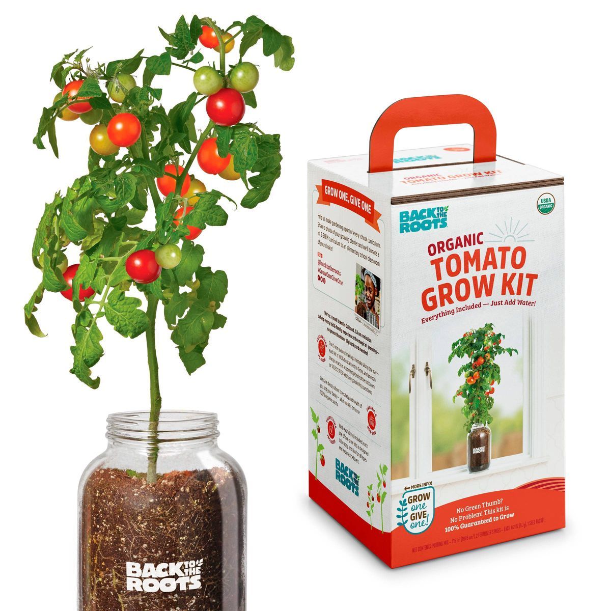 Back to the Roots Organic Tomato Grow Kit | Target