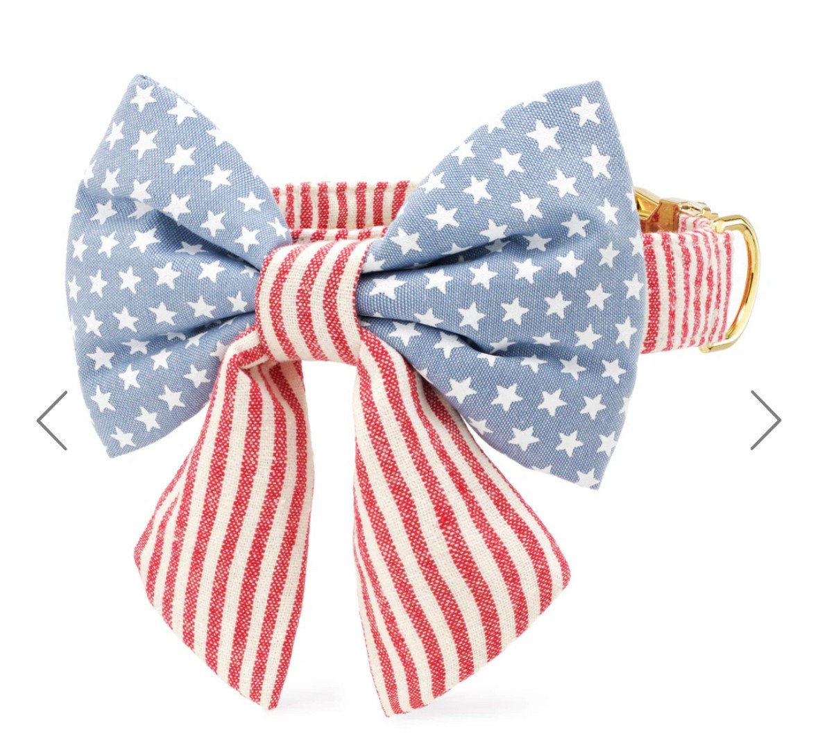 Dog collars Fourth of July and Memorial Day 
Summer dog gifts 

#LTKFindsUnder100 #LTKSummerEdit #LTKGiftGuide