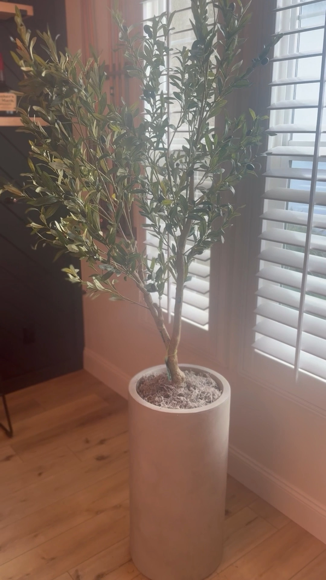 #LTKHome #LTKFindsUnder50 #LTKStyleTip