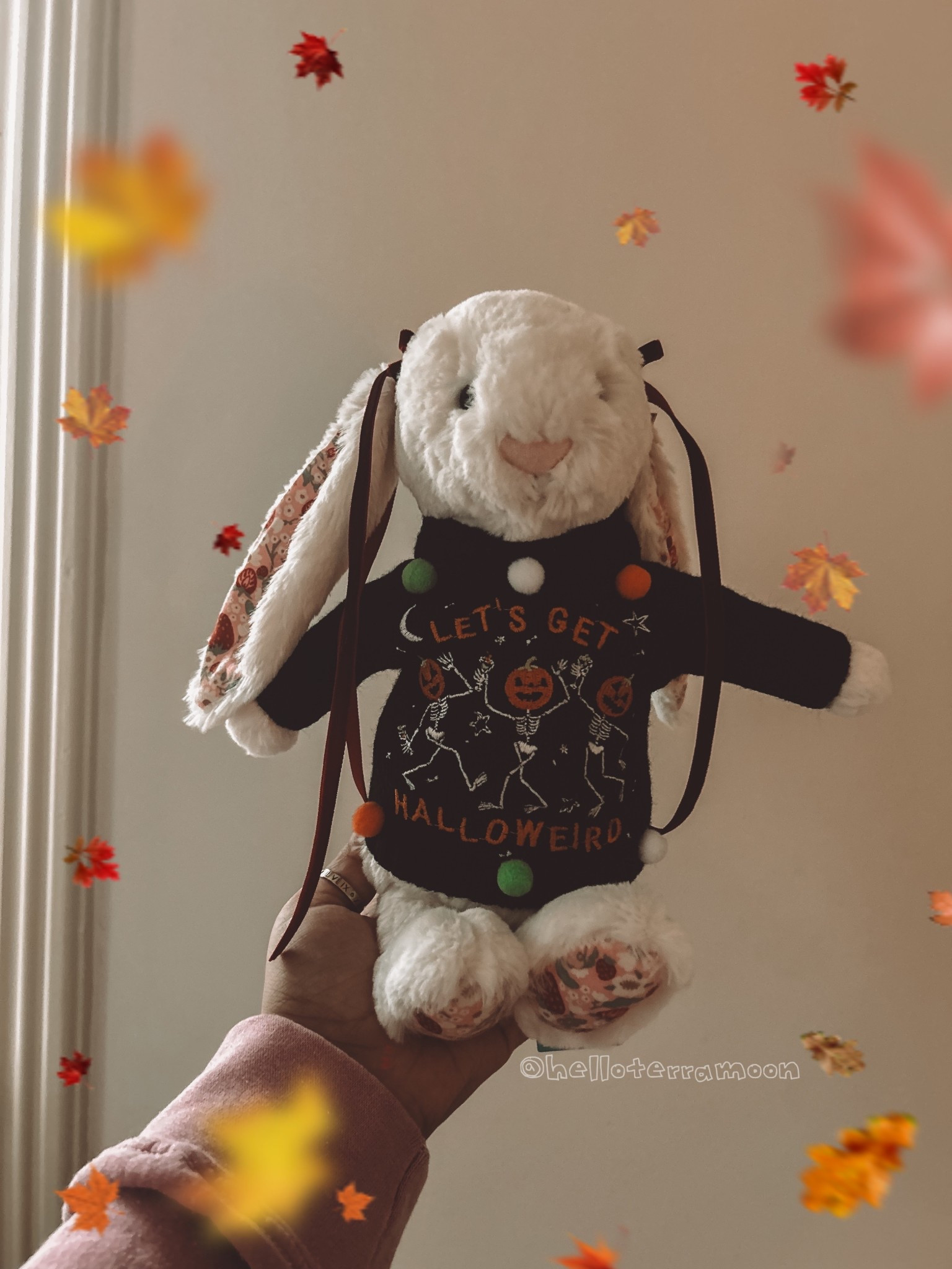 jellycat • jellycat bunny • spring jellycat collection • plushie • stuffed animals • jellycat bunny • jellycat collector • jellycat clothes 