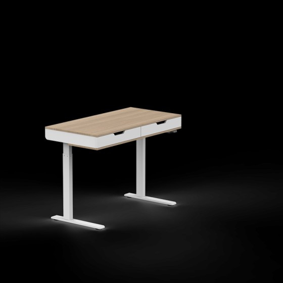 Esben Standing Desk UD4 | FlexiSpot