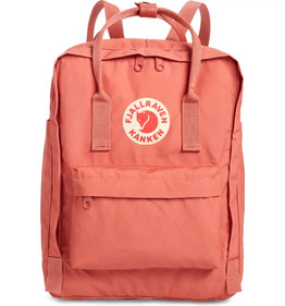 Vsco Girl Backpack Price