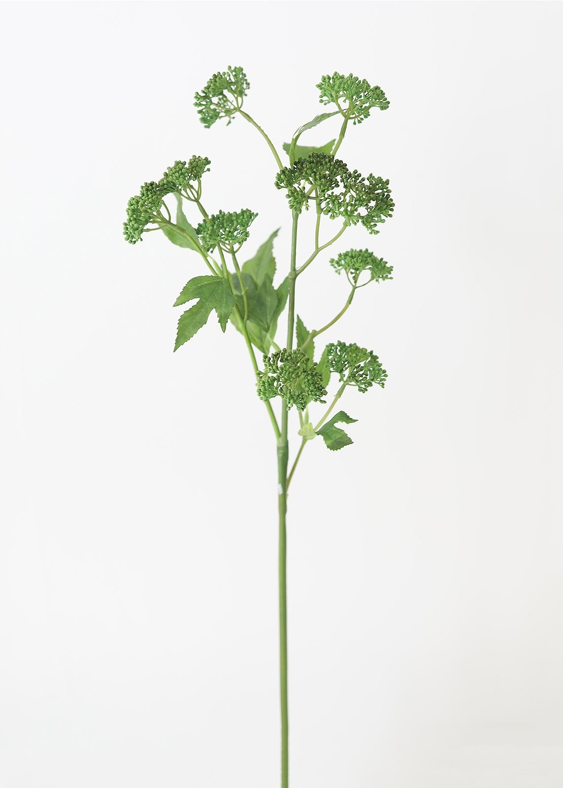 Green Fake Seeded Succulent Stem - 29"Default Title | Afloral (US)