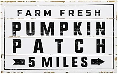 Amazon.com: Pumpkin Patch Shiplap Wood Sign 15 x 24" | Fall Decor | Seasonal Wall Art | Autumn Si... | Amazon (US)