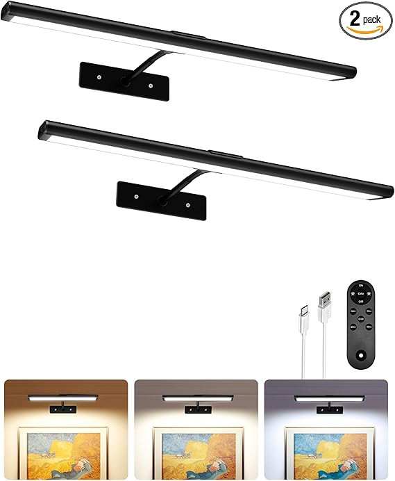 EZVALO Picture Light for Wall, 16'' Black Rechargeable 4800mAh Battery Lights Wireless Remote, Di... | Amazon (US)