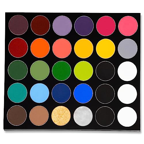 Mehron Makeup Paradise Makeup AQ 30 Color Pro Palette | Magnetic and Refillable Palette | Body Paint & Face Paint | Costumes, SFX, Halloween, & Cosplay | Amazon (US)