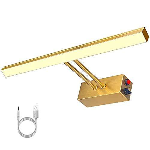 RAIFOOLLY Wireless Picture Light, Full Metal Art Light, 4000K Painting Light for Wall, Headboad，Anti | Amazon (US)