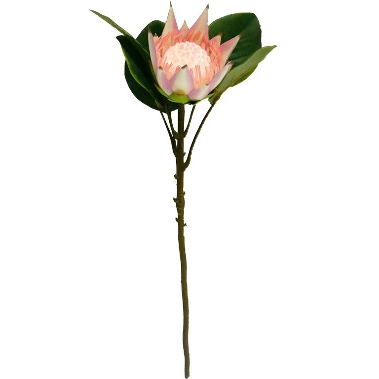 Pack of 2: 21" Artificial Peach King Protea Stem-real touch leaves silk flower Ivory Blush Dusty ... | Walmart (US)