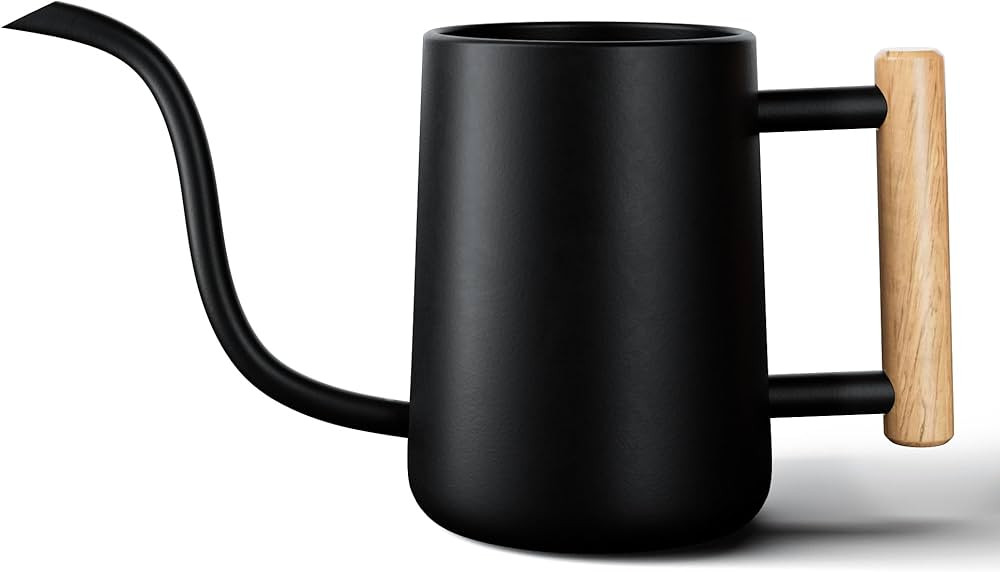 Indoor Watering Can with Long Spout - 35oz Black Watering Can for Indoor Plants - Cute Watering C... | Amazon (US)