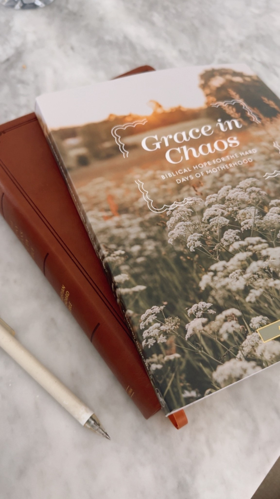 Decided to be more intentional with my Bible study this year.  I have a bible study book I bought last year and really enjoyed it.  

I was using the Holy Bible app to read/listen to passages but, as a true Millennial, I needed a book in my hands so I purchased this Bible. 

I also grabbed this study workbook focused on motherhood because this go around has really been testing me. 

#LTKmorningroutine #LTKstorytime #LTKmomlife
