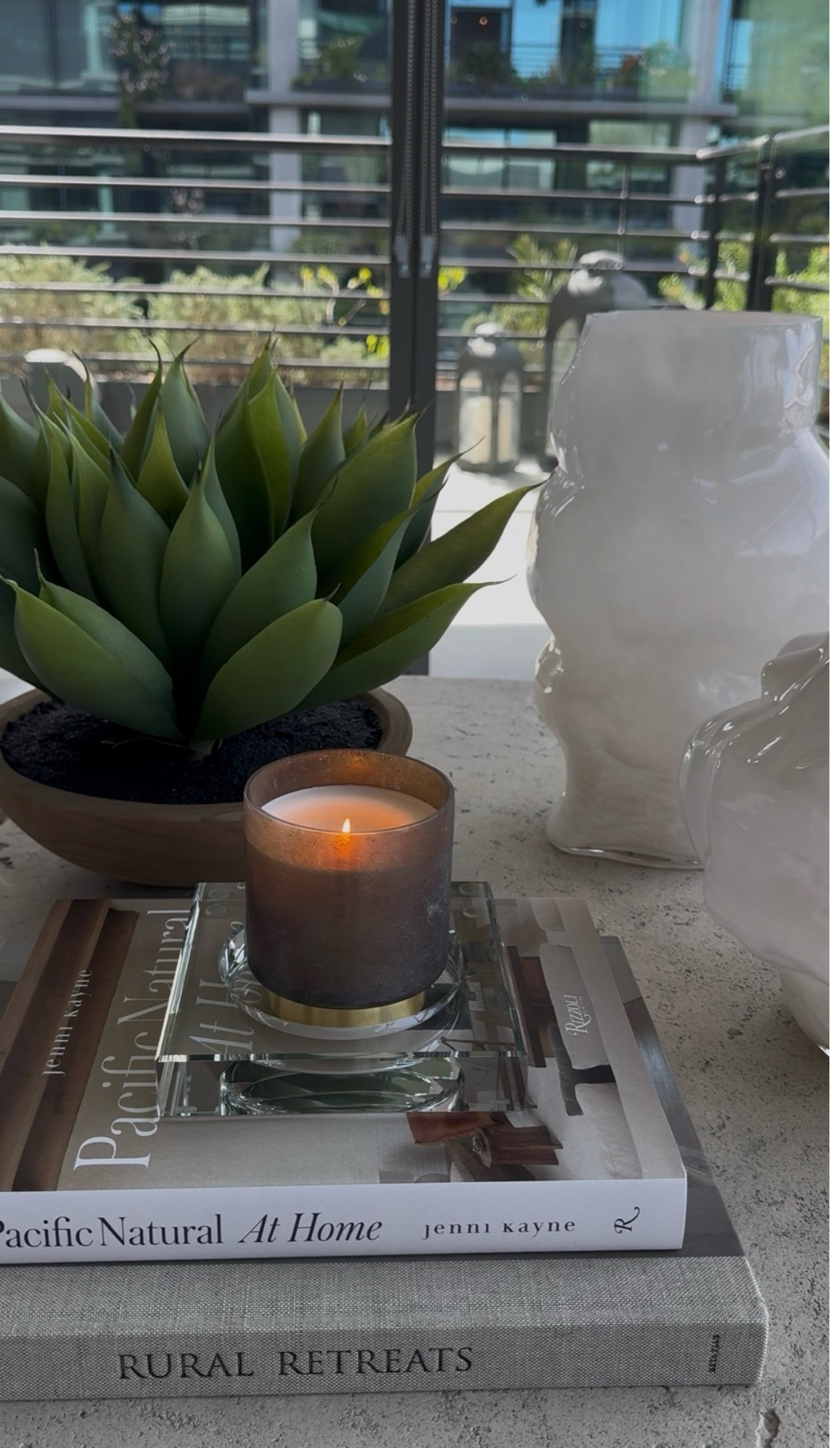 Desert modern coffee table styling🌵🌱

#LTKHome