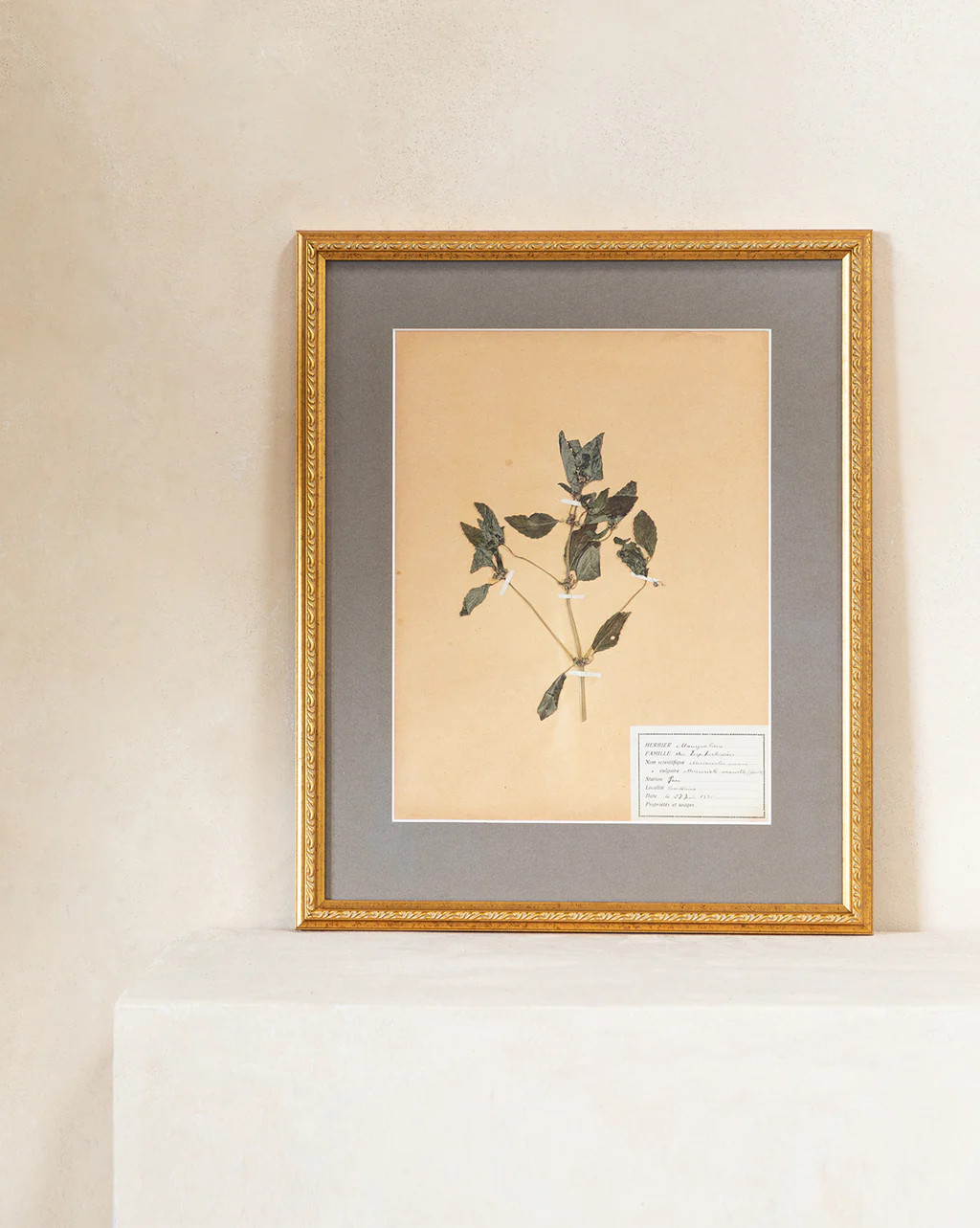 Vintage Dried Flowers IV | McGee & Co.