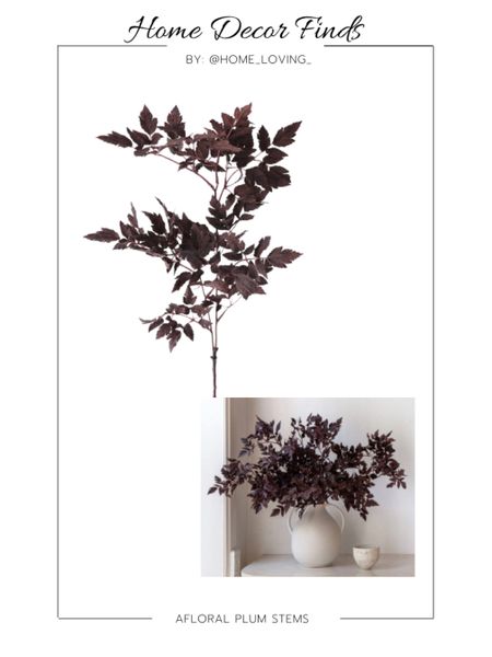 Plum fall stems. Vase filler. Home decor 

#LTKhome #LTKFind #LTKstyletip