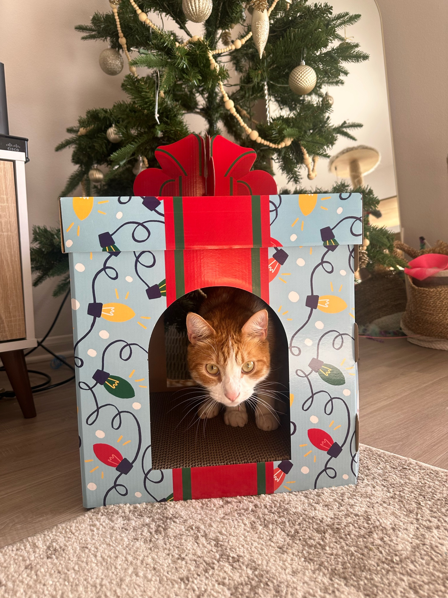 Cat scratch pad present we got from Target!! 

#LTKGiftGuide #LTKSeasonal #LTKHoliday