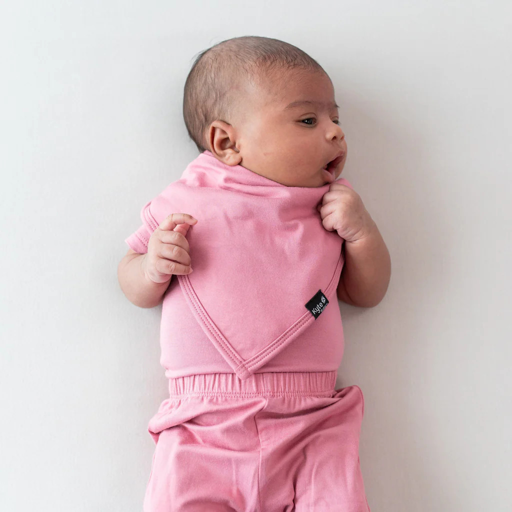 Bib in Apple Blossom | Kyte BABY