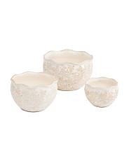 3pc Scalloped Soft Floral Indoor Planters Set | TJ Maxx