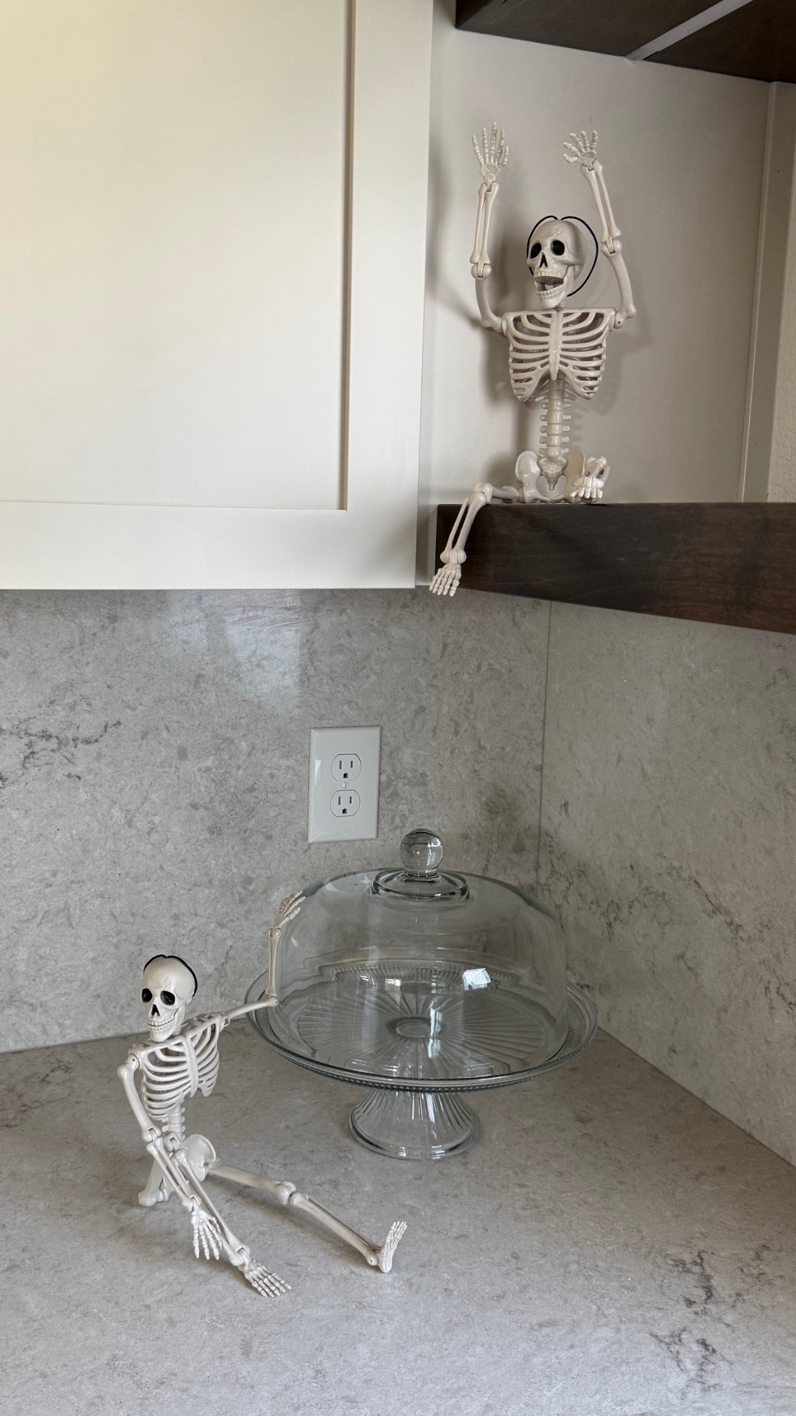 Spooky season is near and I’m loving these cute little skeletons 💀

#Halloweendecor #skeletondecor #neutralhalloween 

#LTKFindsUnder50 #LTKHome #LTKSeasonal