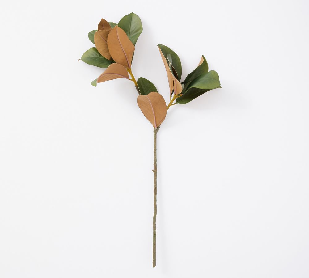 Magnolia Branch,Green | Pottery Barn (US)