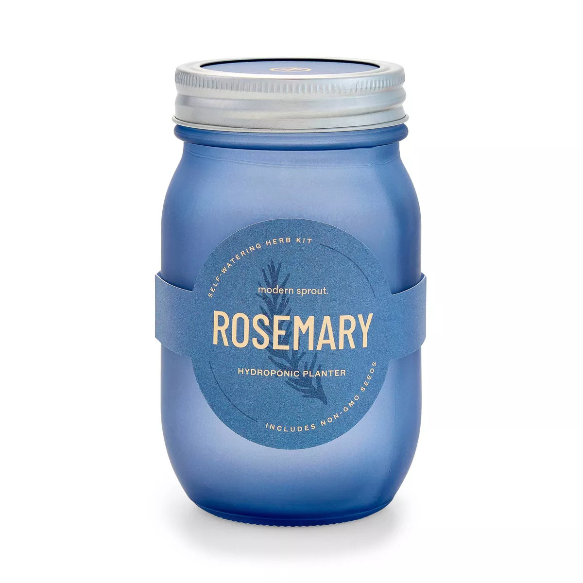 Modern Sprout Pint Jars Garden Seed Kits | Target