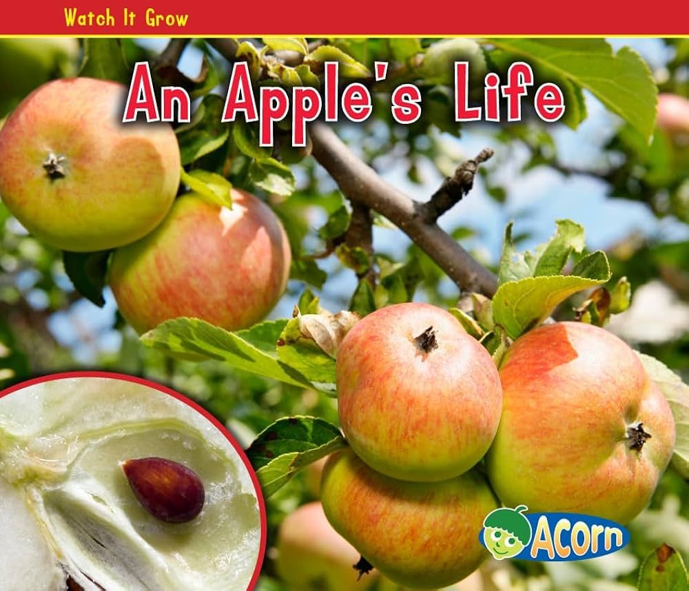 An Apple's Life (Watch It Grow) | Amazon (US)