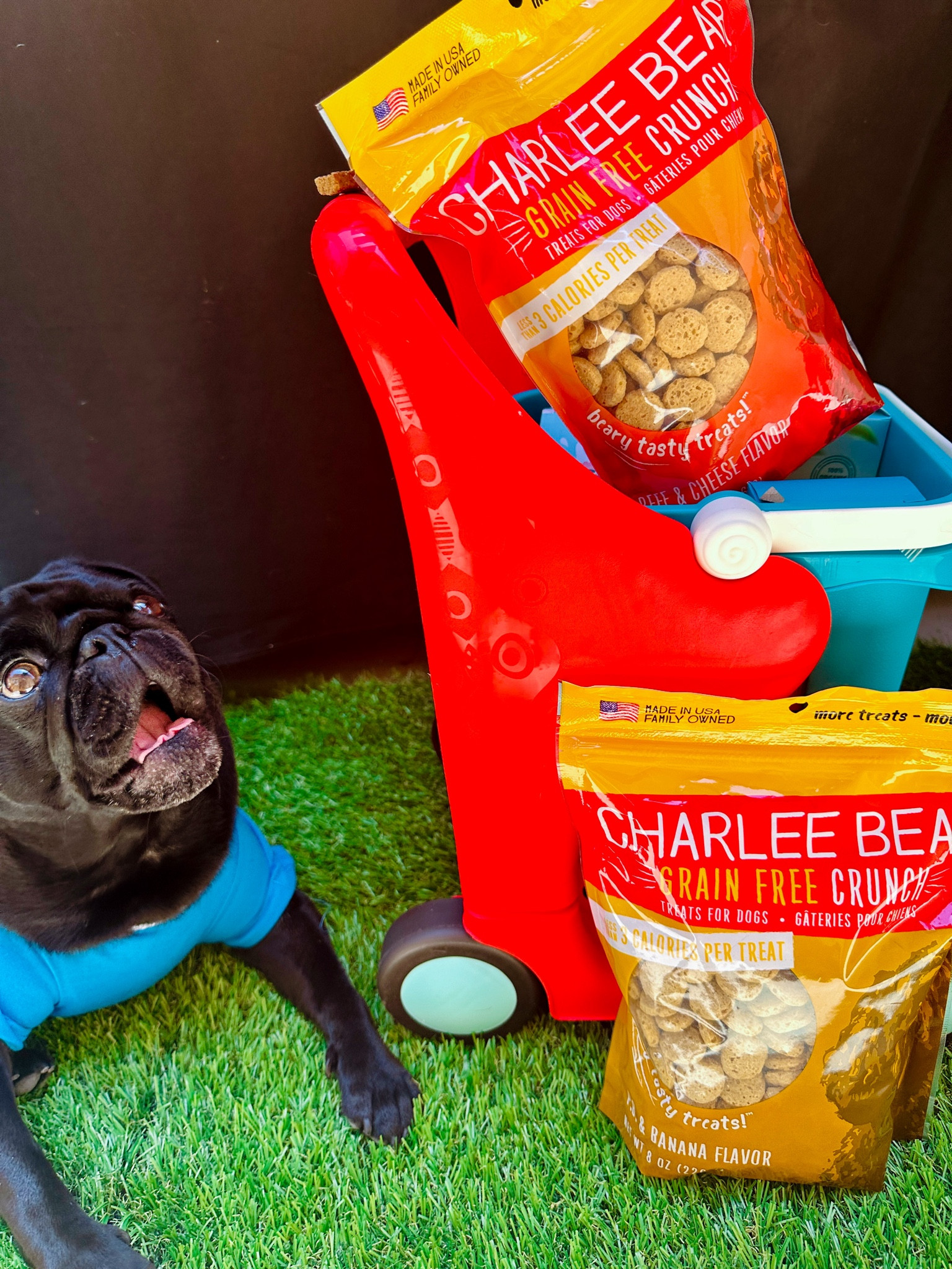 Sniffing out some PAW-some news, fur-friends! 🐾🐶 Just got my paws on Charlee Bear Grain Free Crunch treats, and oh my pugness, they're the REAL deal! 🌟 New flavors, P.B. & Banana and Beef & Cheese, have me drooling like there's no tomorrow. 🥜🍌🥩 And the best part? They're loaded with that oh-so-yummy flavor and a light crunch that's basically doggie heaven. 😋✨ No wheat, soy, corn, or artificial stuff – just pure nom-nom joy! Less than three calories per treat means I can indulge guilt-free. 🙊💖 And guess what? They're Pocket Perfect– no more crumbs or smells in hooman pockets! 🙌👖 Charlee Bear, you've won my pug heart. Treat time, anyone? 🎉🐶 #CharleeBearTreats #PugLifeDelights #SnackTimeGoals #charleebear #bearytastytreats
@Charlee_Bear_DogTreats