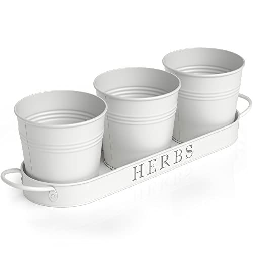 Barnyard Designs Herb Pot Planter Set with Tray for Indoor Garden or Outdoor Use, White Metal Succul | Amazon (US)
