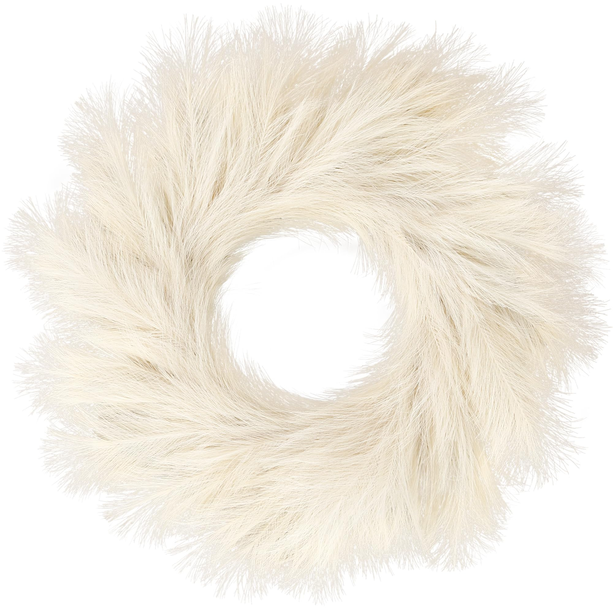Sggvecsy Pampas Grass Wreath 26’’ Faux Pampas Wreath for All Seasons Artificial Pampas Wreath... | Amazon (US)