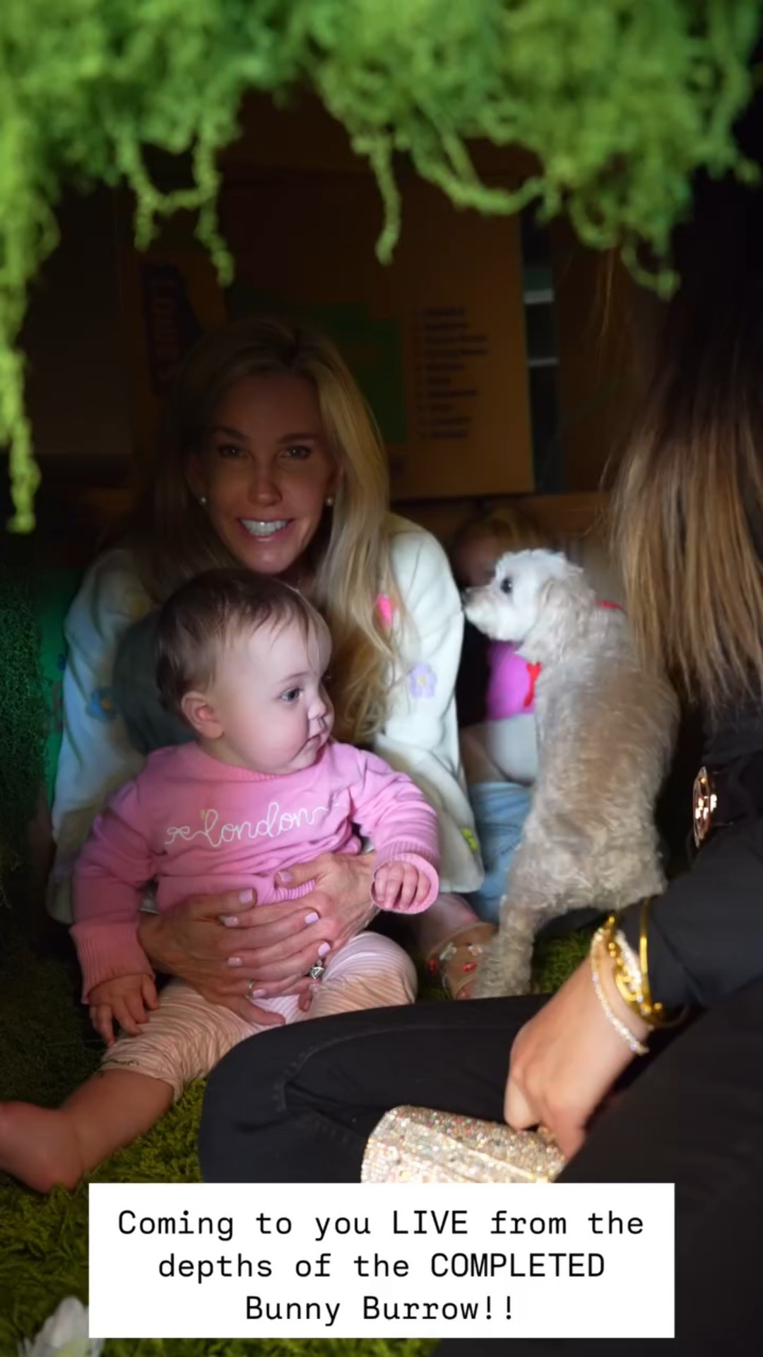 Coming to you LIVE from the depths of the COMPLETED bunny burrow!

#LTKHome #LTKFindsUnder100 #LTKStyleTip