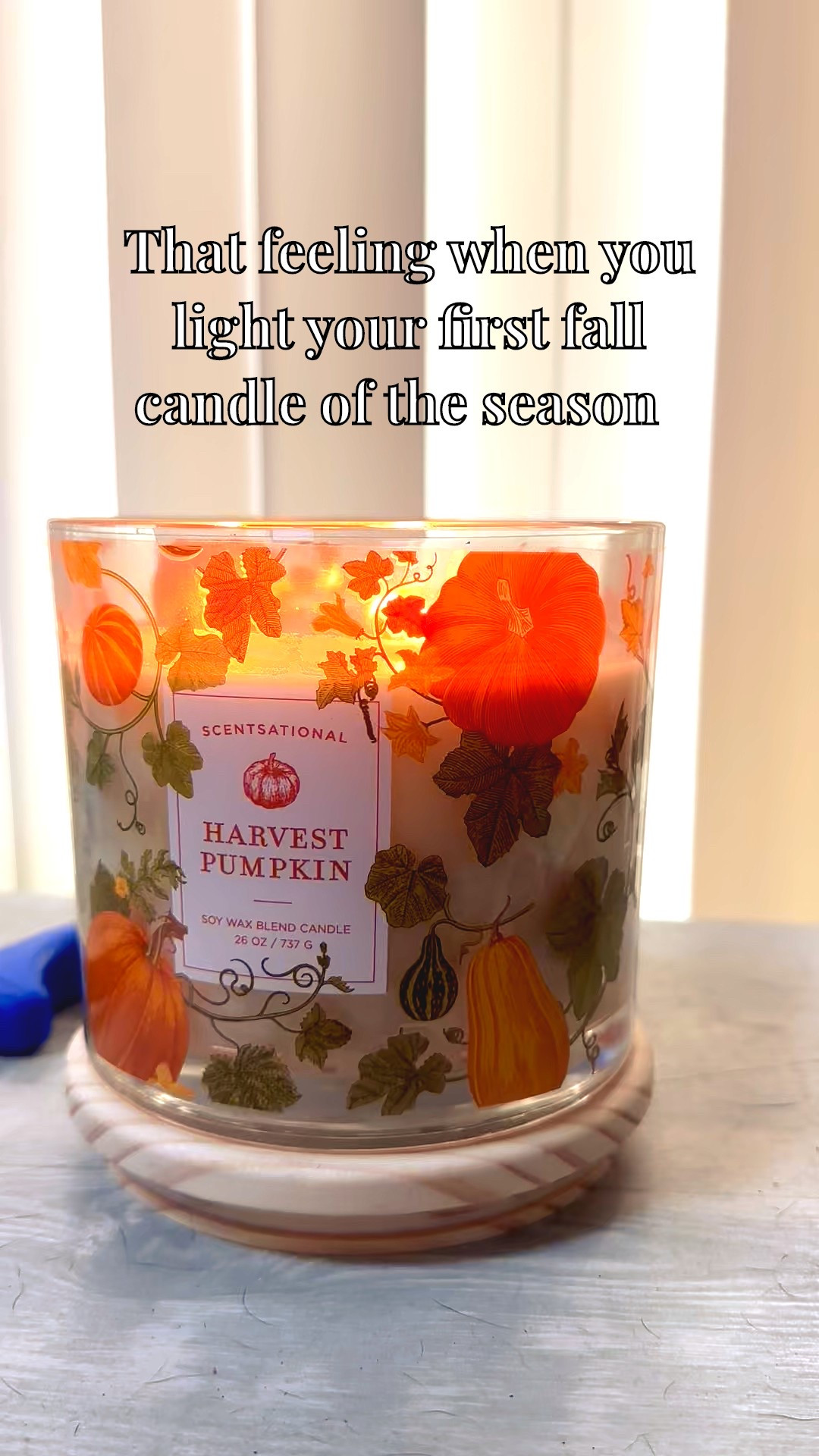 The best time of the year! Give me pumpkin everything 🎃 🕯️ 

#LTKFindsUnder50 #LTKHome #LTKSeasonal