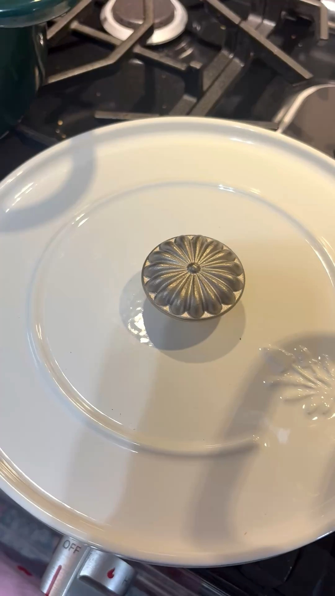 The prettiest Dutch oven I ever did see 😍 #baking #dutchoven #sourdoughera #shepretty

#LTKdayinmylife #LTKfoodie #LTKmorningroutine